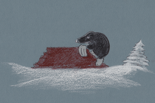 Abbildung Illustration 24