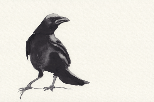 Abbildung Illustration 59