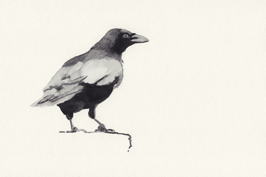 Abbildung Illustration 60