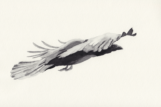 Abbildung Illustration 61