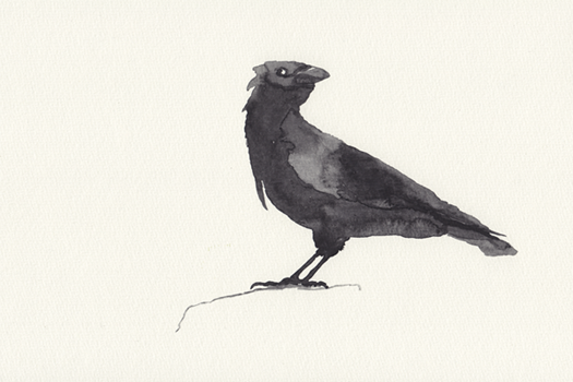 Abbildung Illustration 62