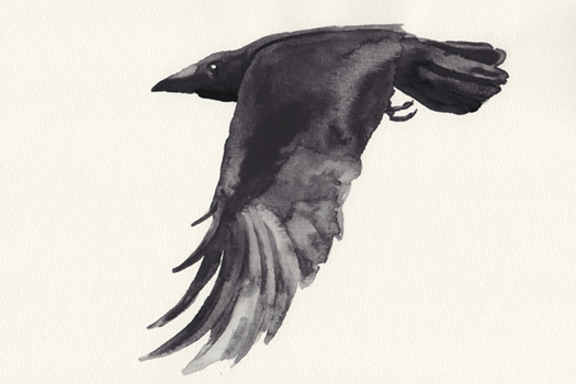 Abbildung Illustration 63