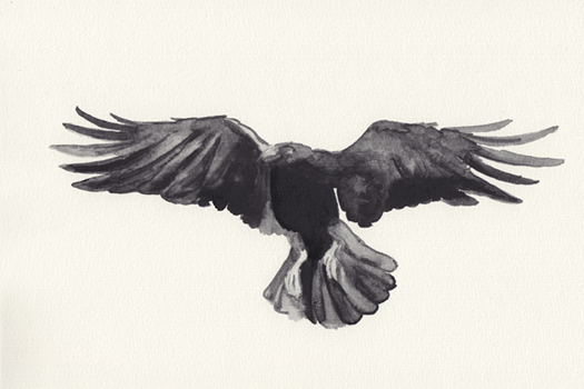 Abbildung Illustration 64