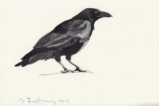 Abbildung Illustration 65