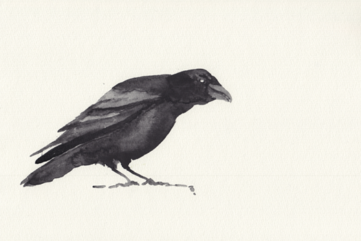 Abbildung Illustration 66