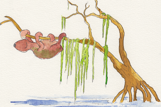 Abbildung Illustration 88