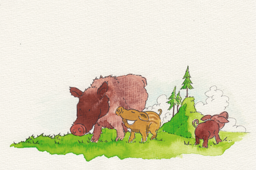 Abbildung Illustration 89